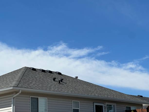 Steel Roofing in Maplewood, WA